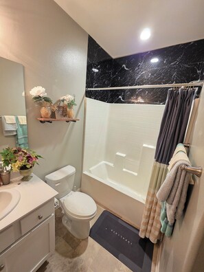 Hair dryer, towels, soap, toilet paper