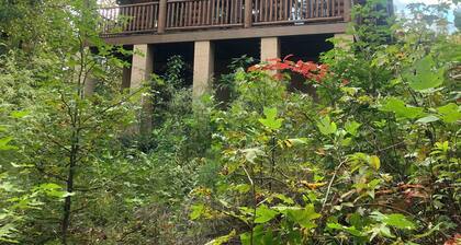 Incredible Mountain View! Log Cabin steps from Table Rock State Park.