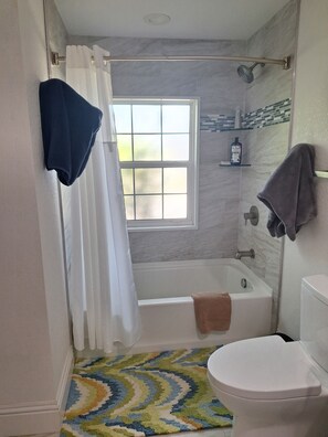 Hair dryer, towels, soap, toilet paper