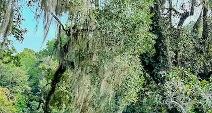 Crystal River Retreat with Salt Water Pool