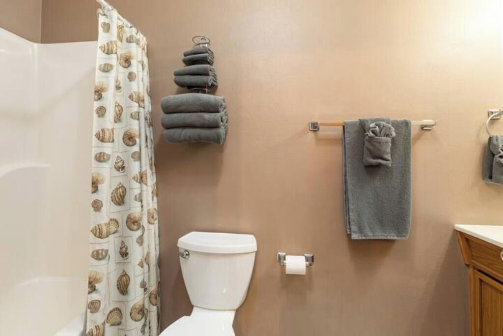 Une salle de bain équipée de toilettes, d’un porte-serviettes et d’un rideau de douche.