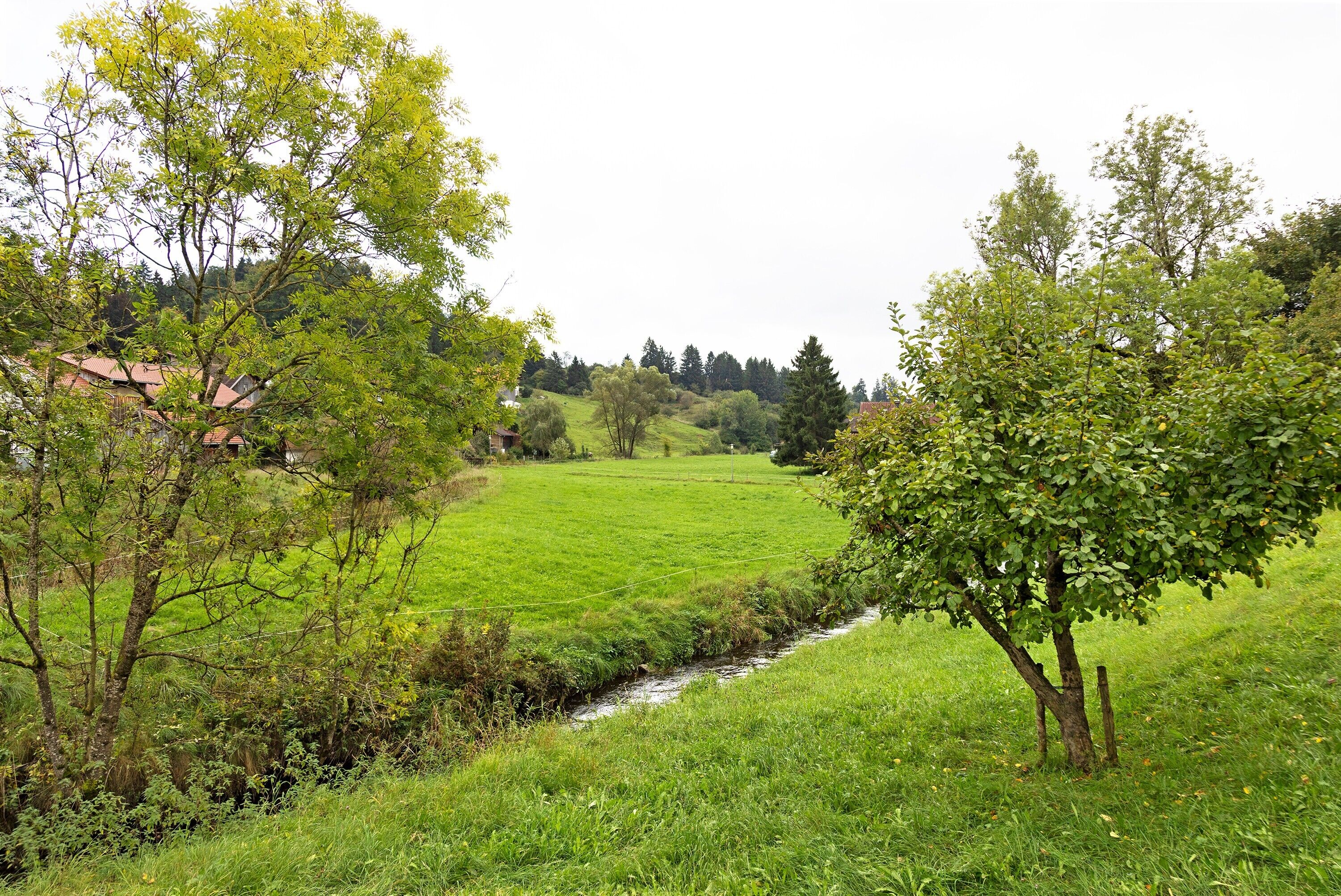 A rural landscape with a stream, trees, and a distant building.
