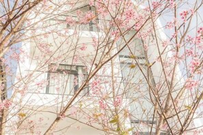 A building with multiple windows and a tree with pink blossoms in front. - THE ARIX House & Studio (Dalat)