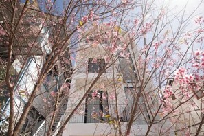 Garden - THE ARIX House & Studio (Dalat)