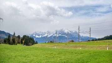 Un champ verdoyant, avec une chaîne de montagnes en arrière-plan, des poteaux électriques et un ciel dégagé.