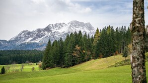 Un paisaje montañoso con un campo cubierto de hierba y árboles.