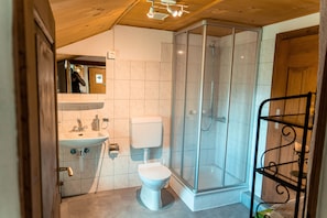 Shower, hair dryer, towels, toilet paper