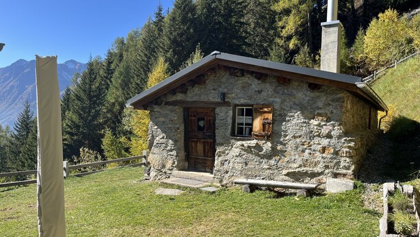 Uma cabana de pedra com porta e janela de madeira, cercada por grama e árvores.