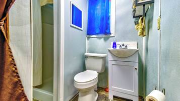 Shower, towels, soap, toilet paper