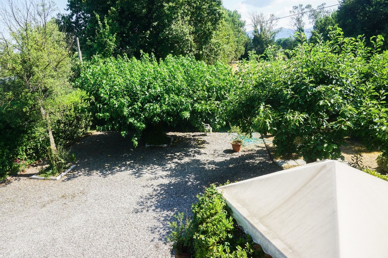 المنطقة المحيطة بالمنشأة