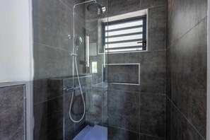 Shower, towels, toilet paper