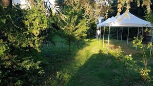 A garden with a white tent and dense foliage.