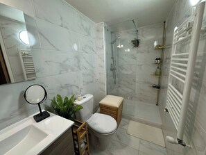 Shower, hair dryer, towels