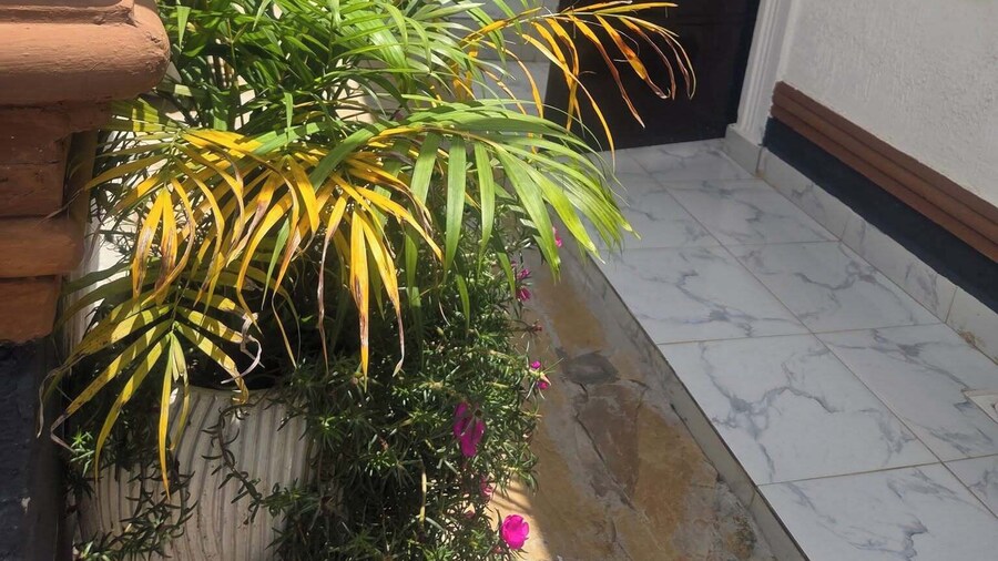 The Elegant Homes &Accommodation Kericho