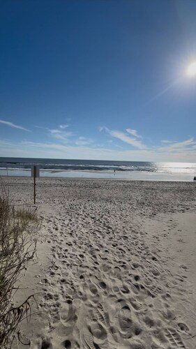 New Listing Lux Beach House Dog Friendly