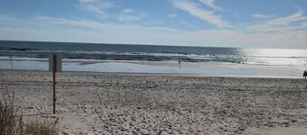 New Listing Lux Beach House Dog Friendly