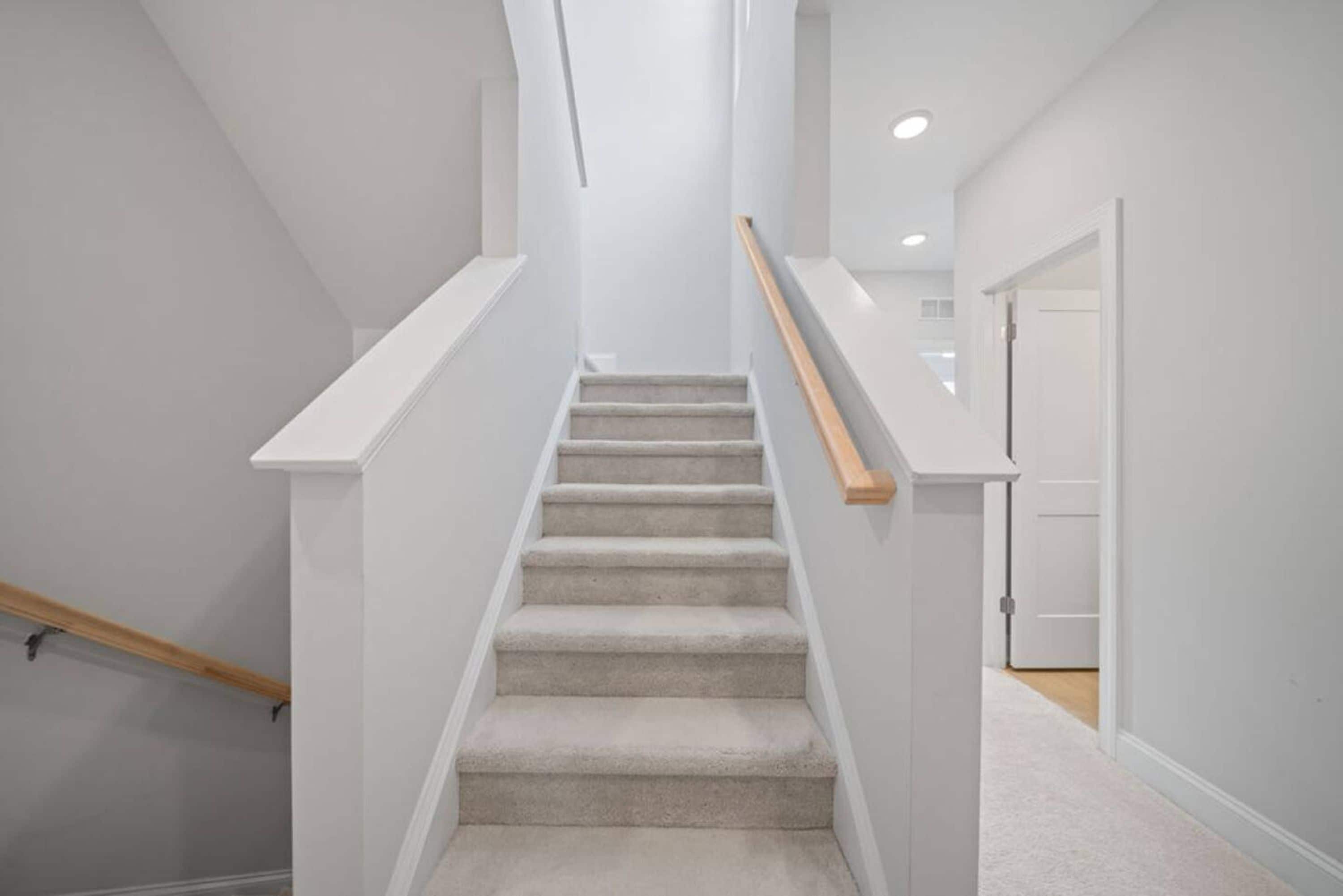 Apartment | 4 bedrooms