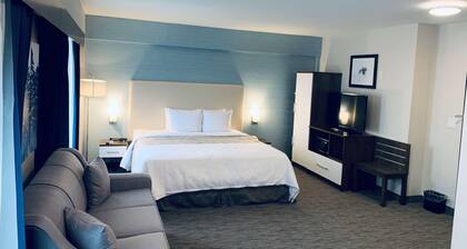 Chandni Victoria Hotel