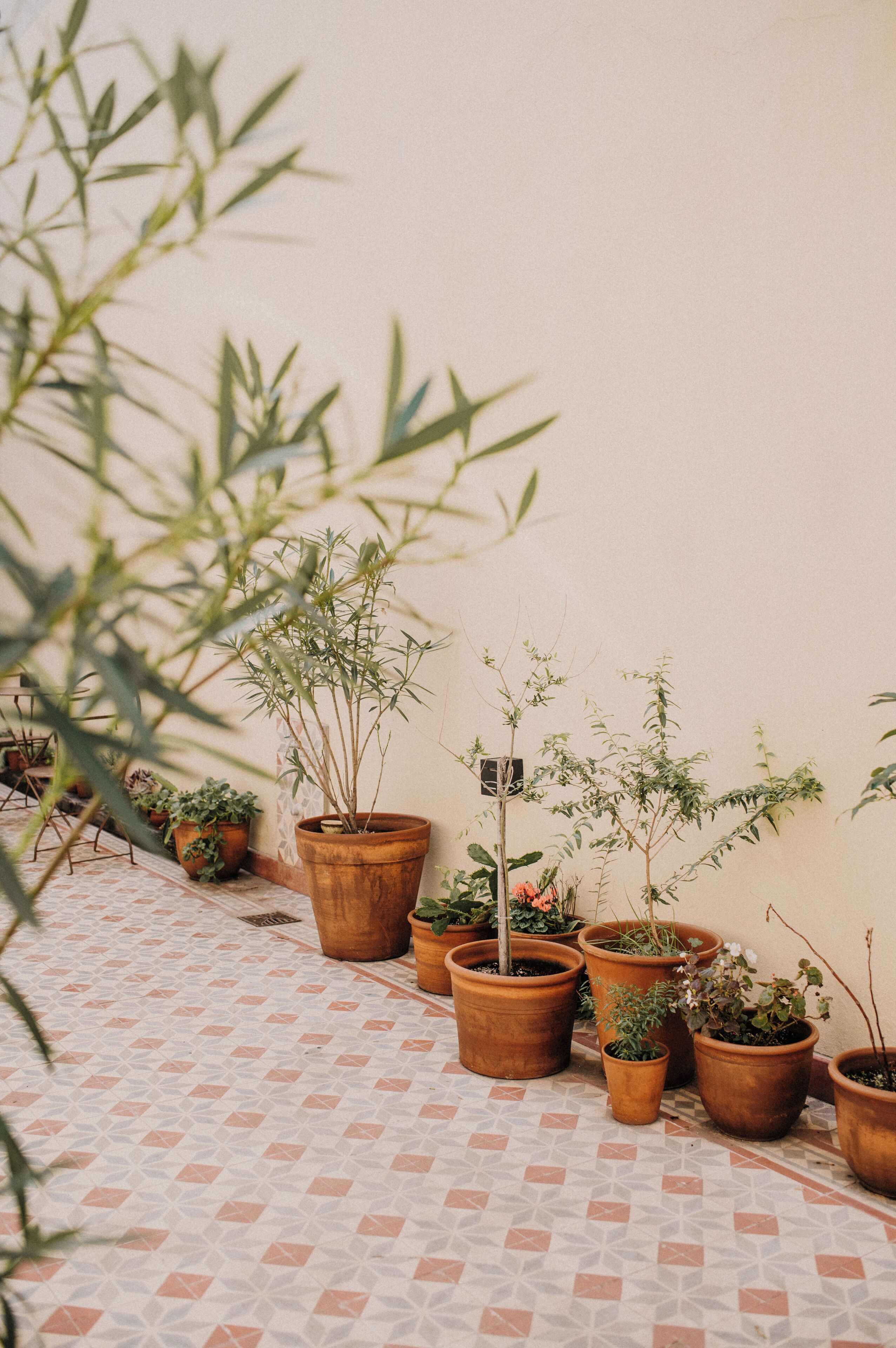 Un patio con baldosas y macetas con plantas dispuestas contra una pared.