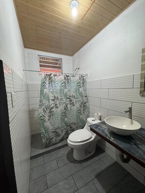 Shower, towels, soap, toilet paper