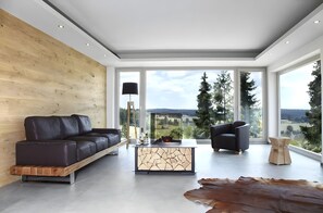 Televisión, chimenea