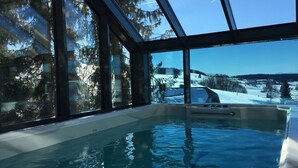 A glass-enclosed hot tub with a view of a snowy landscape and trees. - Apartment 'Halali' with Spa Area and Mountain View (Ibach)