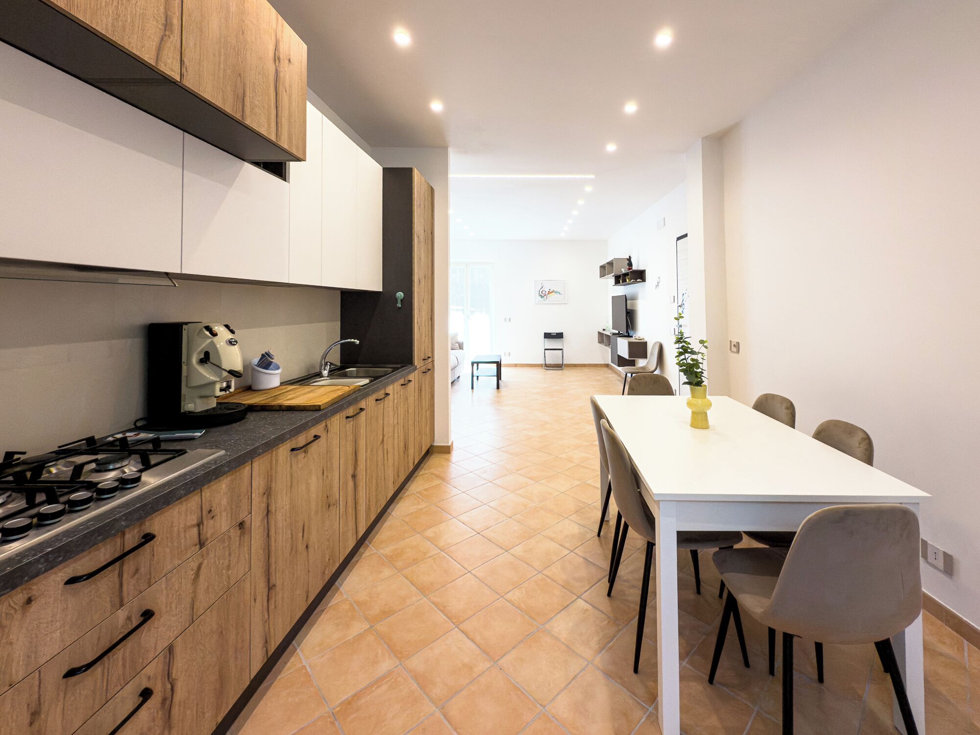 Mikrovågsugn, ugn, spishäll och diskmaskin