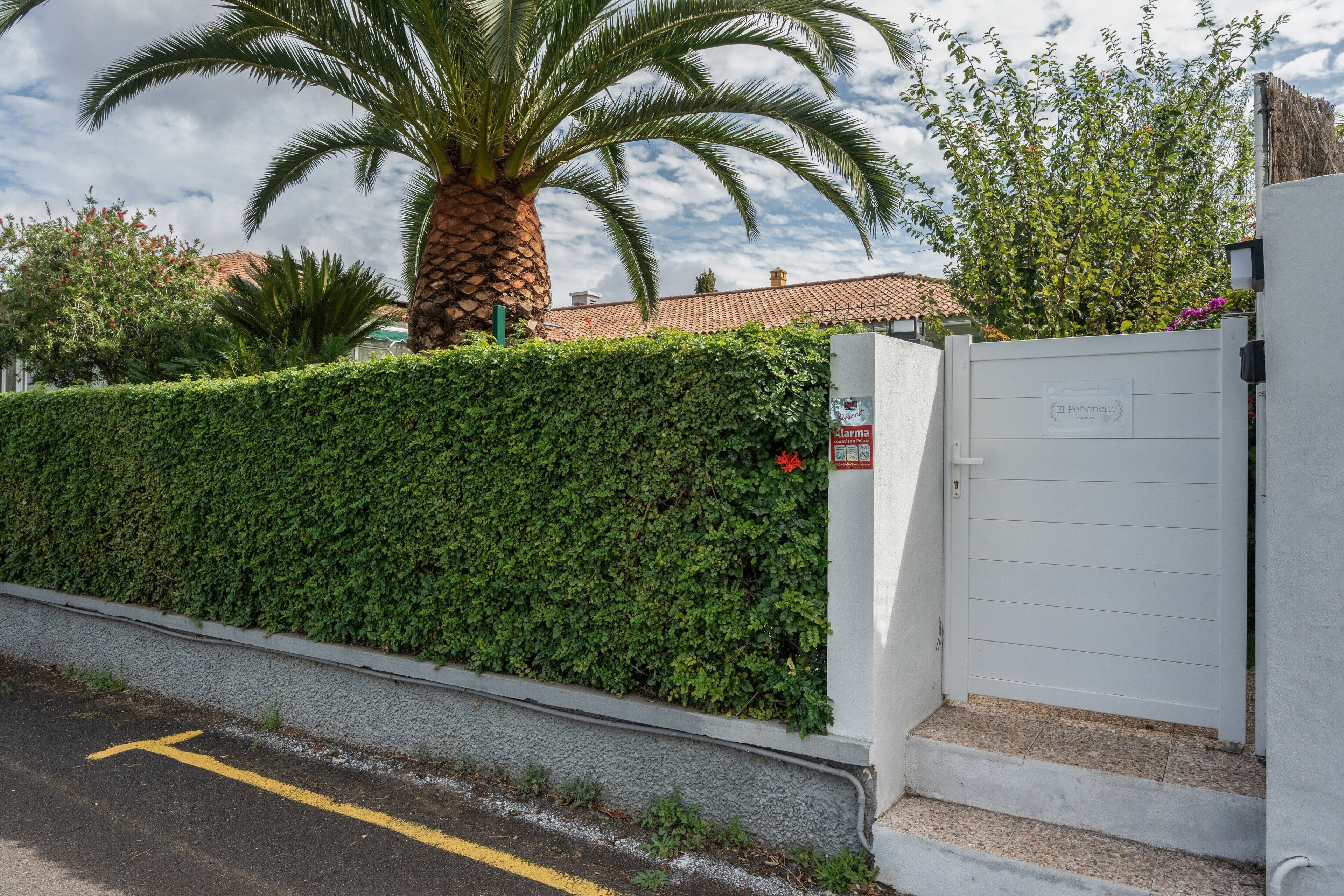 A gated property with a palm tree, a hedge, and a white gate.