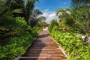 Property grounds - Oceanview suite Kiin with private beach (Puerto Morelos)
