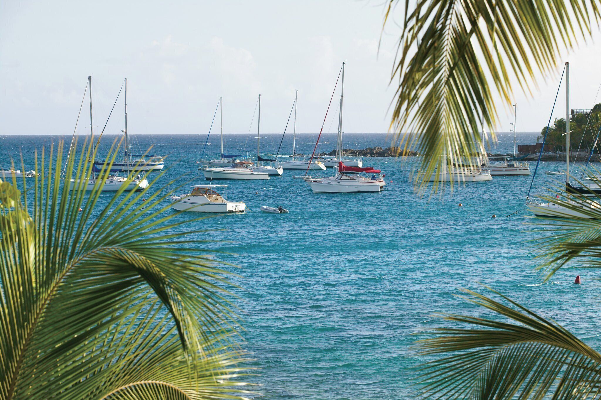 A marina with several sailboats docked.