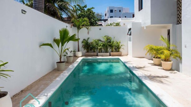 A rectangular pool with clear blue water, surrounded by white walls and potted plants. - Ideal room in a central area (Cancún)