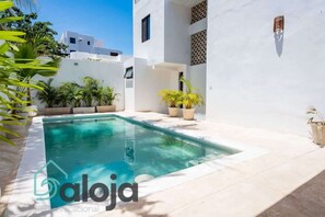 Ein moderner Poolbereich mit klarem Pool, umgeben von weißen Wänden und Topfpflanzen.
