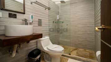 Shower, hair dryer, towels