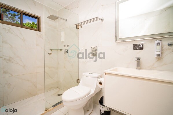 Shower, hair dryer, towels