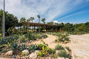 Een modern gebouw met een overdekt terras, omringd door verschillende planten en rotsen.