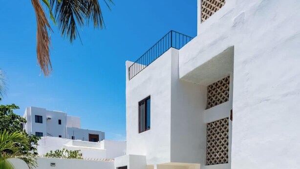 Un edificio moderno y blanco con piscina, rodeado de plantas en macetas y palmeras.