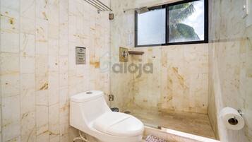 Shower, hair dryer, towels