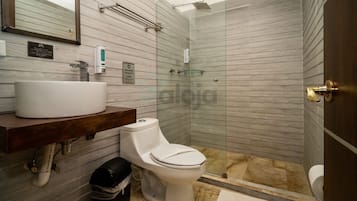 Shower, hair dryer, towels