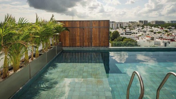 Piscina infinita en la azotea con pared de madera y palmeras, con vistas a un paisaje urbano.