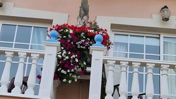 Detalle del exterior