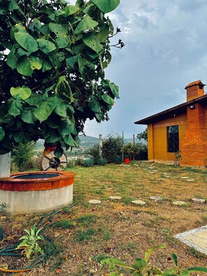 Property grounds - Charming house, In los Aduelos Oaxaca (San Pedro Ixtlahuaca)