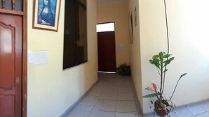 A hallway with a wooden door, a framed picture on the wall, and a potted plant.