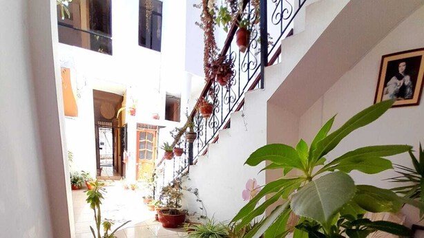 A narrow indoor corridor with potted plants and a staircase.