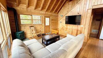 Een televisie, een open haard, een dvd-speler en boeken