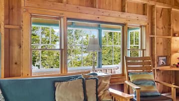 Télévision, cheminée, lecteur de DVD, livres