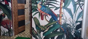 Shri Premanand Ji Niwas Sthan