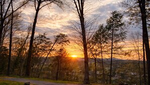 A forested landscape with a paved path leading through it.