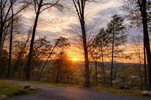 A forested landscape with a paved path leading through it. - Hill Top Pet-Friendly Cabin w/Hot Tub / Fire Pit (Pigeon Forge)