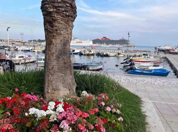 Marina