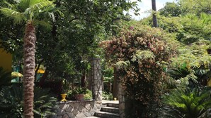 Un sendero en un jardín que conduce a una escalera de piedra rodeada de abundante vegetación y plantas en flor.